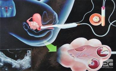 陈主任